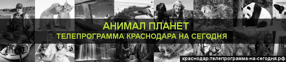 Телепрограмма на сегодня канала Анимал Планет, Краснодар