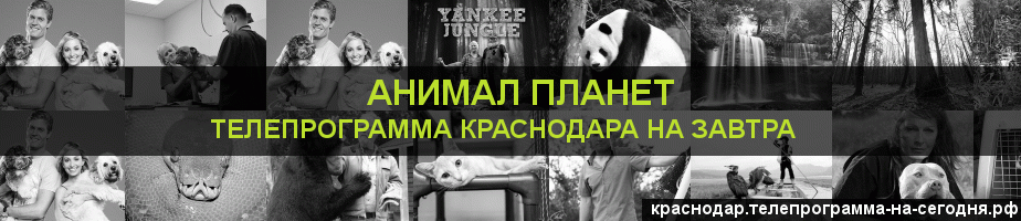 Телепрограмма на завтра канала Анимал Планет, Краснодар