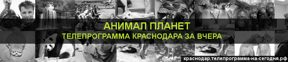 Телепрограмма за вчера канала Анимал Планет, Краснодар