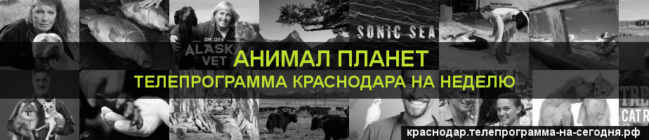 Телепрограмма на неделю канала Анимал Планет, Краснодар